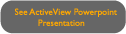 ActiveView Slide